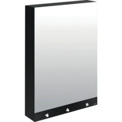 Armoire Miroir 4 Fonctions - Delabie