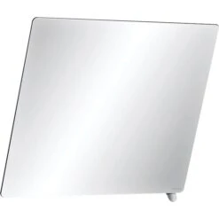 Miroir - Delabie -Inclinable 20°c Avec Poignée - 500X600 Mm